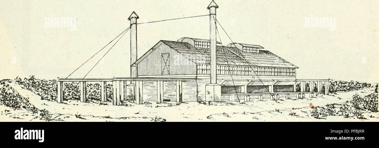 . Der Tropenpflanzer; zeitschrift fr tropische landwirtschaft. Tropical plants; Tropical crops. Hölzerne und eiserne Gebäude aller Art Brücken usw. Moskito- bezw. malariasichere Tropenhäuser. Kakao-Trocken-Häuser.. Altoiia Haiinvi'g-. F. H. Schmidt Haiubur«- Paulstr. 21.. Please note that these images are extracted from scanned page images that may have been digitally enhanced for readability - coloration and appearance of these illustrations may not perfectly resemble the original work.. Berlin Stock Photo