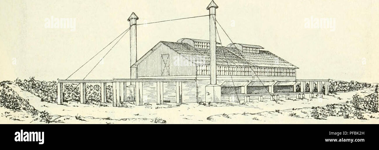 . Der Tropenpflanzer; zeitschrift fr tropische landwirtschaft. Tropical plants; Tropical crops. - 65 - Hölzerne und eiserne Gebäude aller Art Brücken usw. Moskito bezw. malariasichere Tropenhäuser. Kakao-Trocken-Häuser.. Altona Rainweg'. F. H. Schmidt Hamburg- raulstr. 21.. Please note that these images are extracted from scanned page images that may have been digitally enhanced for readability - coloration and appearance of these illustrations may not perfectly resemble the original work.. Berlin Stock Photo