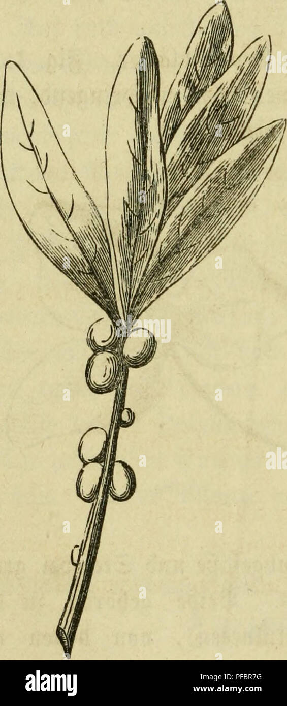 Artai High Resolution Stock Photography And Images Alamy