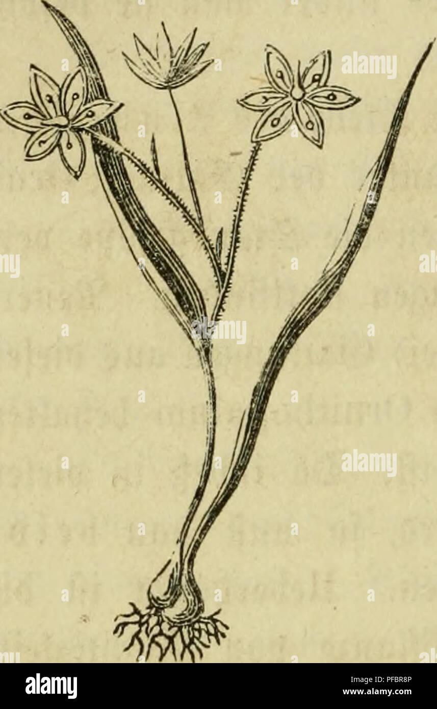 Icfe hi-res stock photography and images - Alamy, image size:857x1390