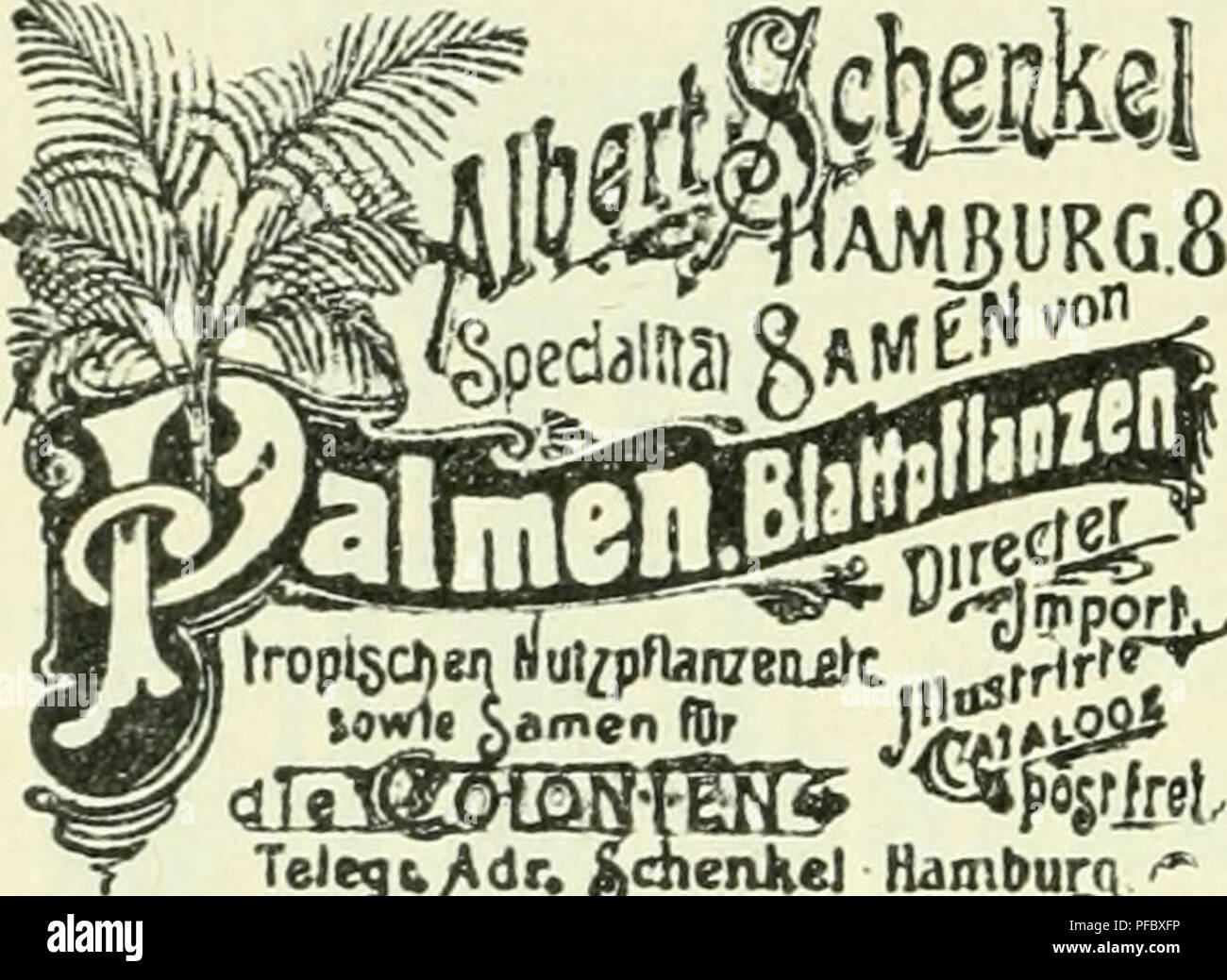 Der Tropenpflanzer Zeitschrift Fr Tropische Landwirtschaft Tropical Plants Tropical Crops Untersuchung U Begutachtung Uberseeischer Produkte Als Olfruchte Kautschuk Harze Drogen Gerbstoffe Usw Dr Louis Allen Von Der Handelskammer Und Der