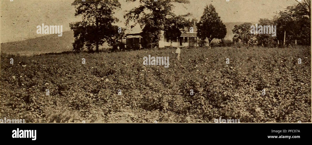 This horticulture catalog from 19221923 features a wide variety of