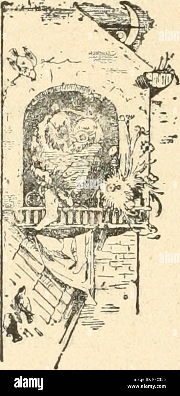. Der Ornithologische Beobachter. Birds; Birds. - 264 - ein Lebenssaft ist, ohne den das Bestehen eines Lebewesens undenkbar wäre, so begreifen wir auch, dass die richtigen Funktionen der Lunge, des Herzens, die Magen- und Darmthätigkeit etc. unmöglich aufrecht erhalten w^erden können, wenn kein gesundes Blut durch die Adern kreist. Das Blut hat zunächst den Zweck, neue Nalirungsstoffe in die einzelnen Teile des Körpers zu bringen. Dmch das Hin- und Herfliegen, durch jede Bewegung, durch die Ausdehnung und Zusammenziehmig der Lunge beim Atmen, namentlich aber bei der Anstrengung beim Singen un Stock Photo
