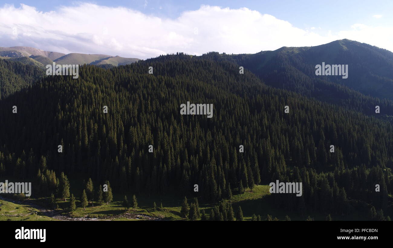 Xinjian, Xinjian, China. 21st Aug, 2018. Xinjiang, CHINA-Scenery of Gongnaisi Grassland in northwest China's Xinjiang. Credit: SIPA Asia/ZUMA Wire/Alamy Live News Stock Photo