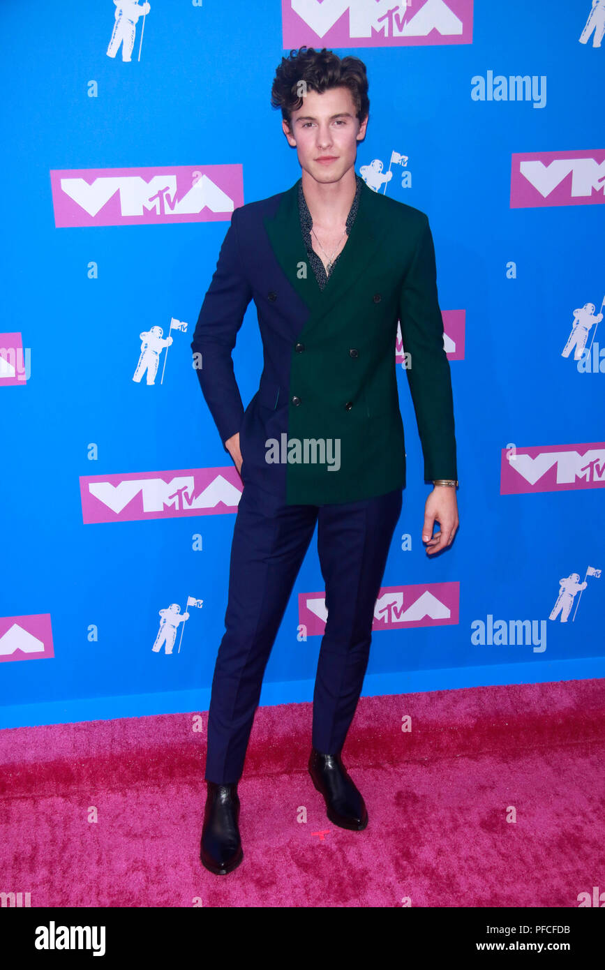 New York, NY, USA. 20th Aug, 2018. Shawn Mendes arriving at the 2018 MTV Video Music Awards at Radio City Music Hall in New York City on August 20, 2018. Credit: Diego Corredor/Media Punch/Alamy Live News Stock Photo