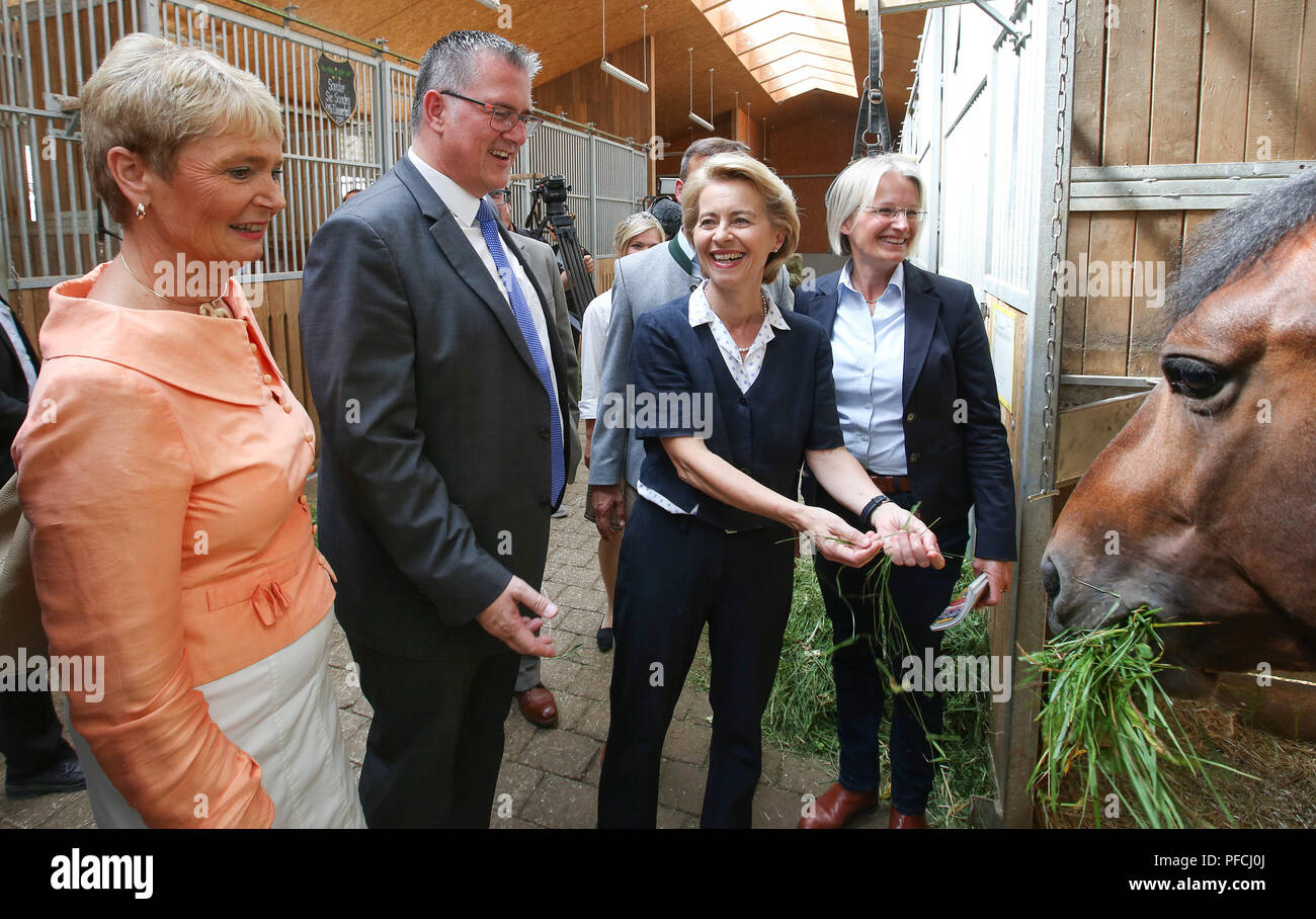 Gomadingen-Marbach, Germany. 21st Aug, 2018. Ursula von der Leyen (C, CDU), Minister of Defence, feeding one of the horses with fresh grass during her visit to the main and state stud Marbach. To her left are Friedlinde Gurr-Hirsch (CDU), State Secretary, Michael Donth (CDU), Member of the German Bundestag, and to her right Astrid von Velsen-Zerweck, state stable manager and head of the stud. The passionate rider von der Leyen took a detour to Marbach during a troop visit. Credit: Thomas Warnack/dpa/Alamy Live News Stock Photo