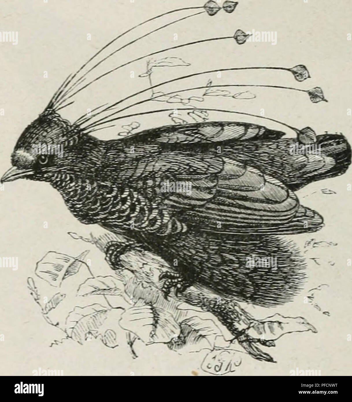 Gebrauchte angelausrüstung -Fotos und -Bildmaterial in hoher Auflösung –  Alamy