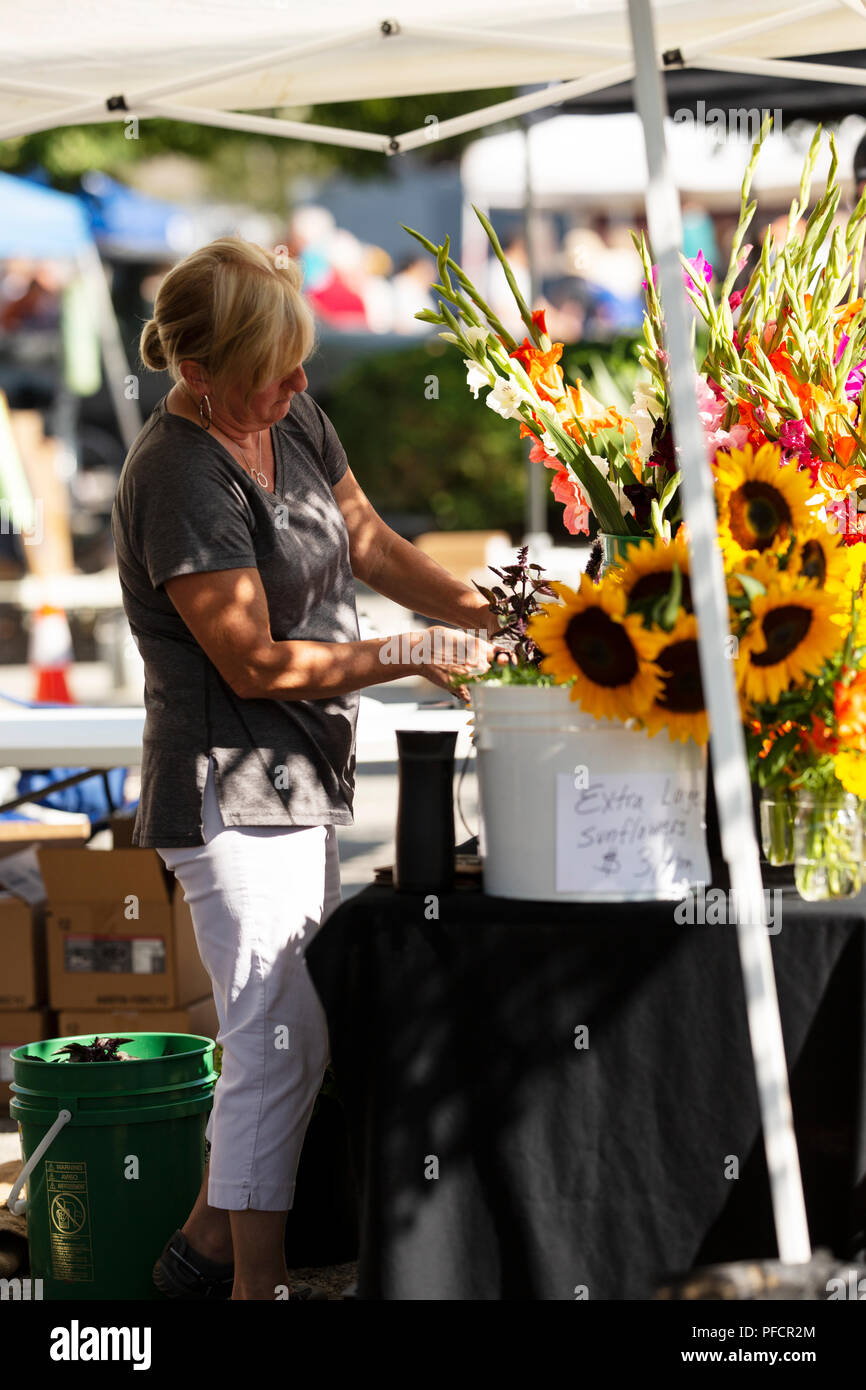 A woman selling flowers at the farmer's market in Zionsville, Indiana. Stock Photo