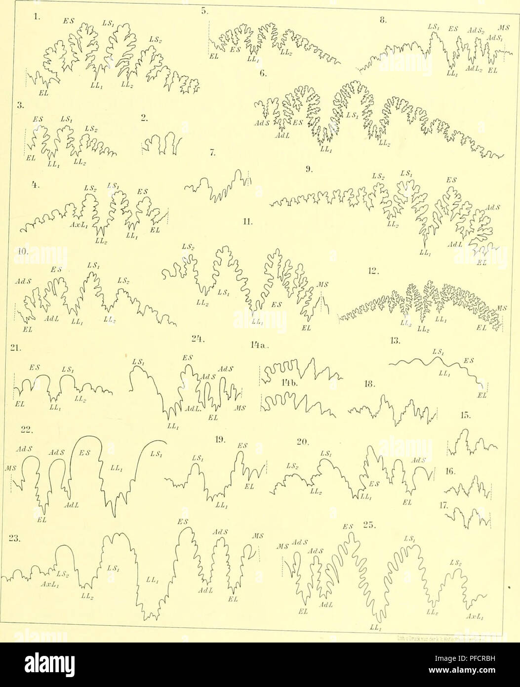 Vr I Ii High Resolution Stock Photography And Images Alamy