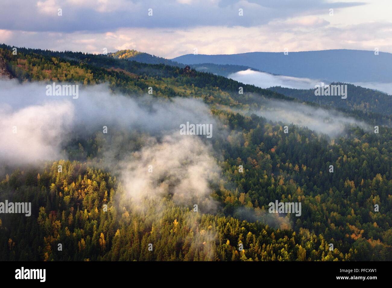 Foggy sunset in Stolby Nature Sanctuary. Stock Photo