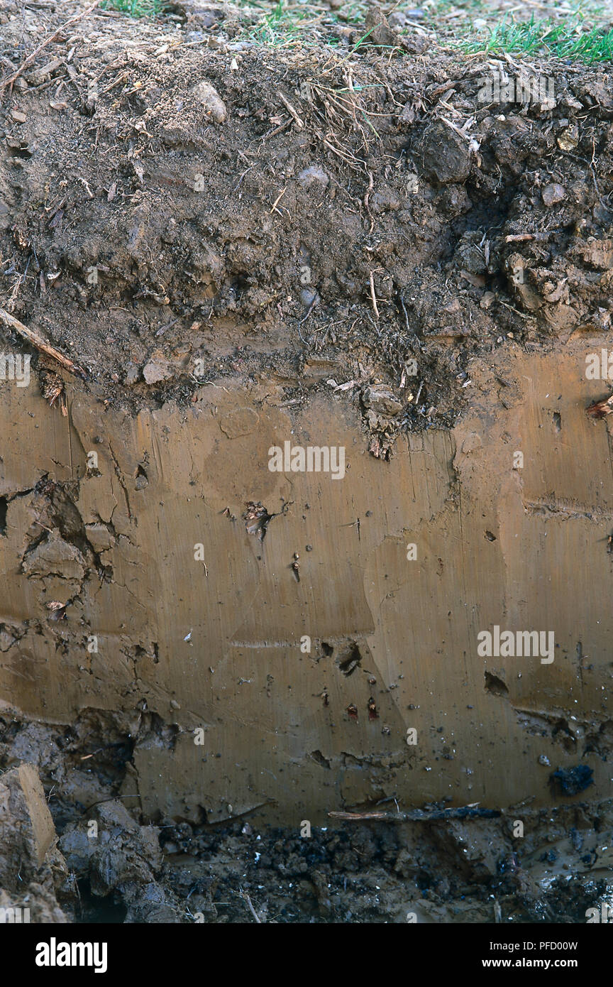 Subterranean layer of clay soil, cross-section view. Stock Photo