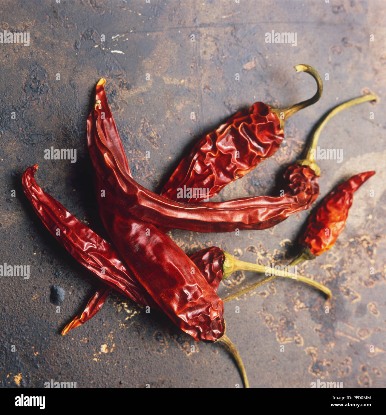 Capsicum annuum longum, Chillies, whole, dried red chillies, tilted