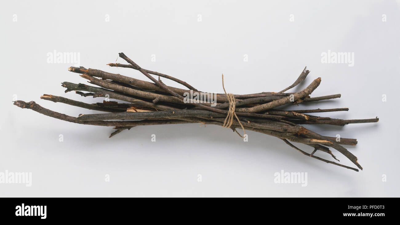 Bunch of dry twigs, tied together in middle Stock Photo Alamy