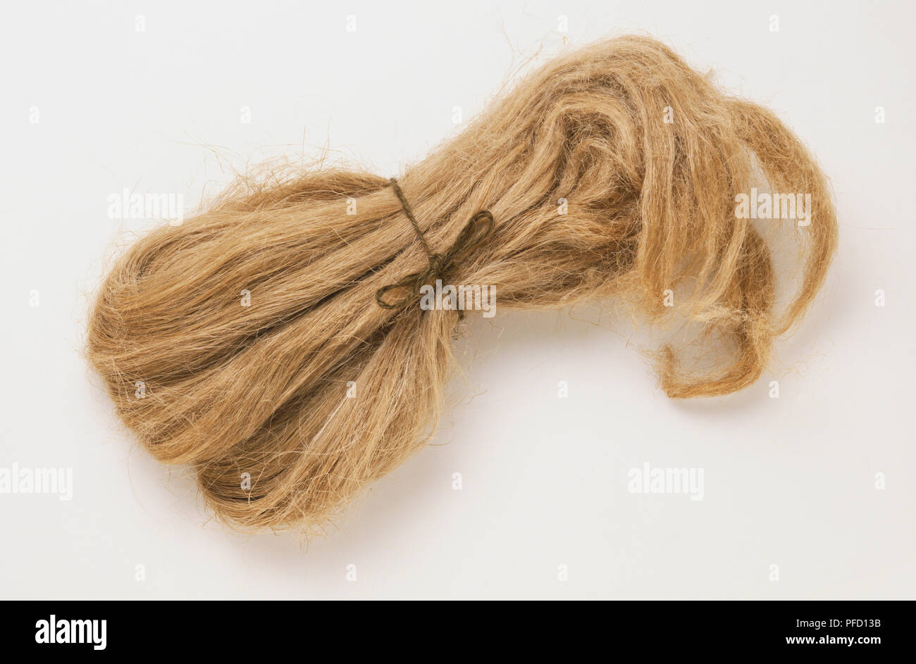 Flax fibres tied in a spool, close up. Stock Photo