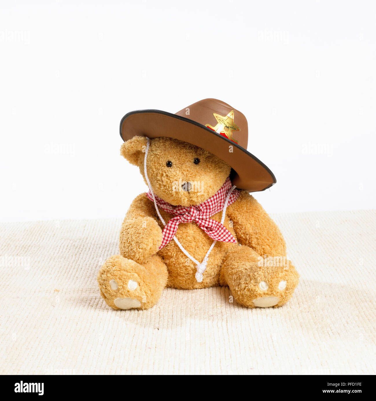 teddy bear cowboy