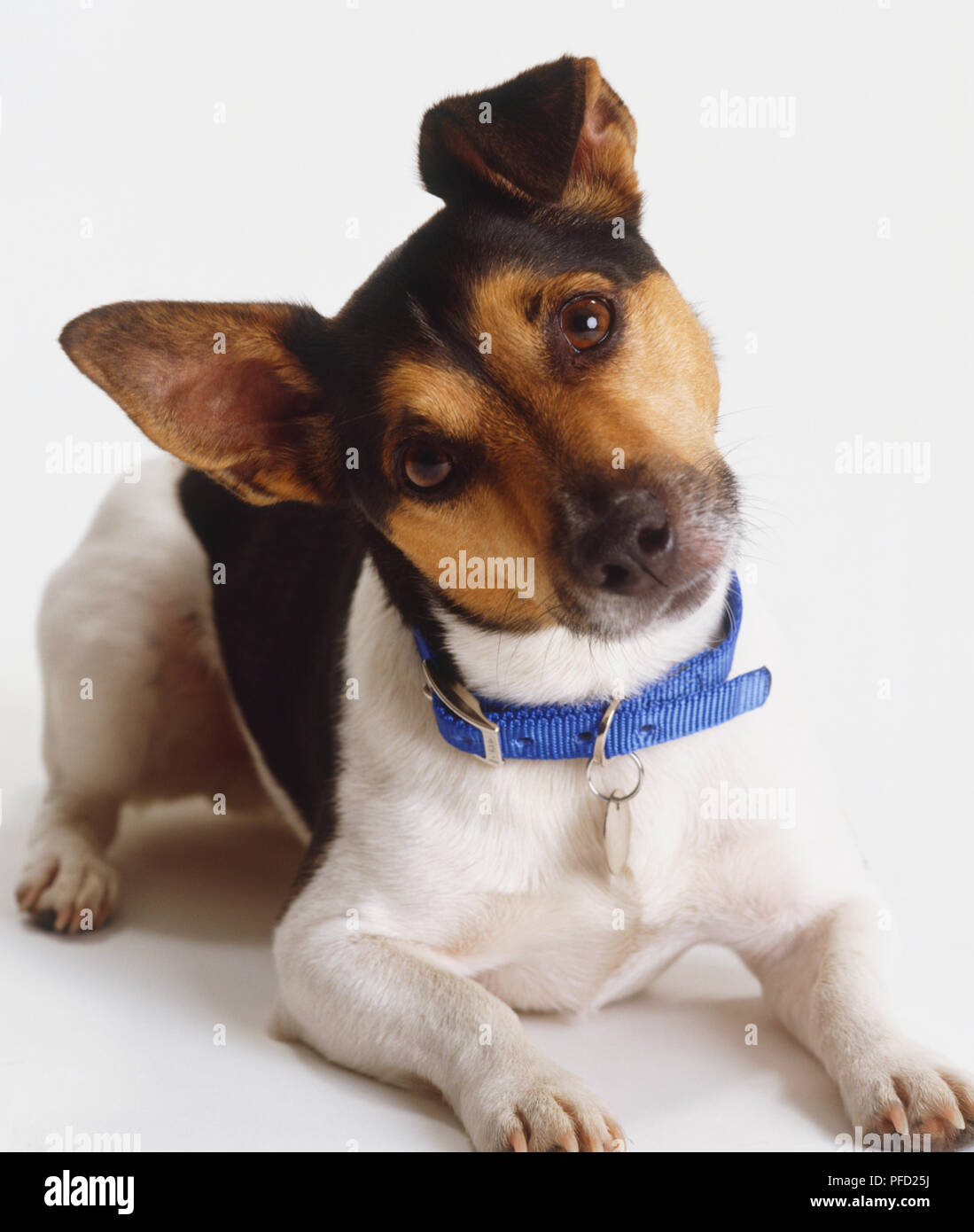 Sideways tilting hires stock photography and images Alamy