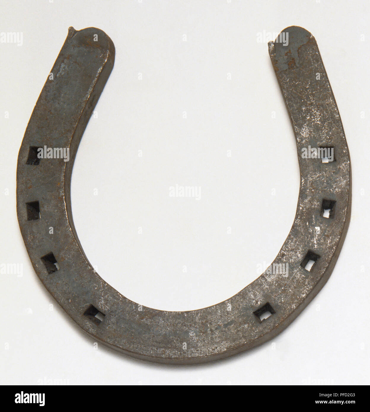 Plain 'Stamped' horseshoe, sturdy shoe for heavy horses, plain heal, nail holes, above view. Stock Photo