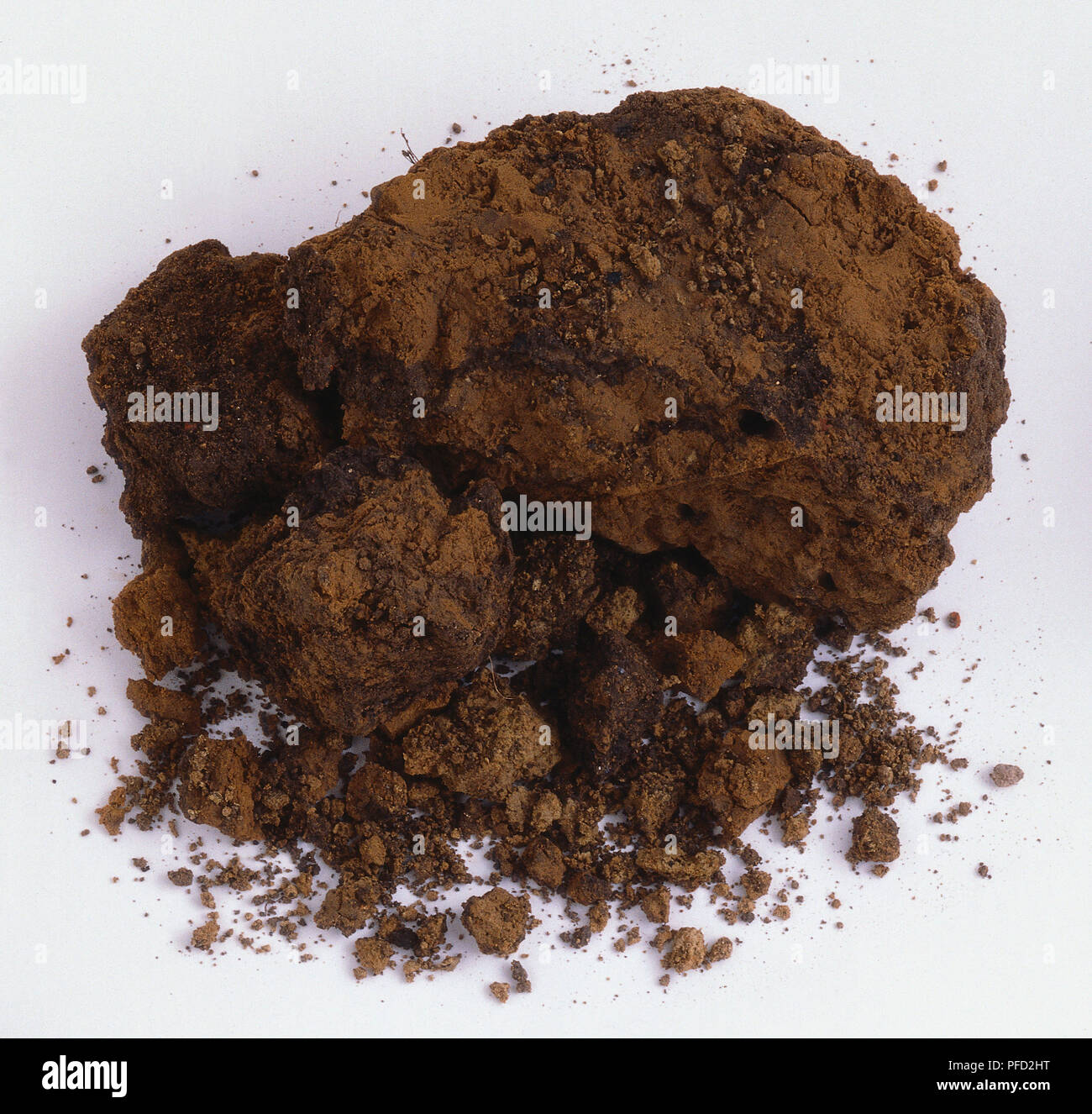 Sample of clay soil Stock Photo