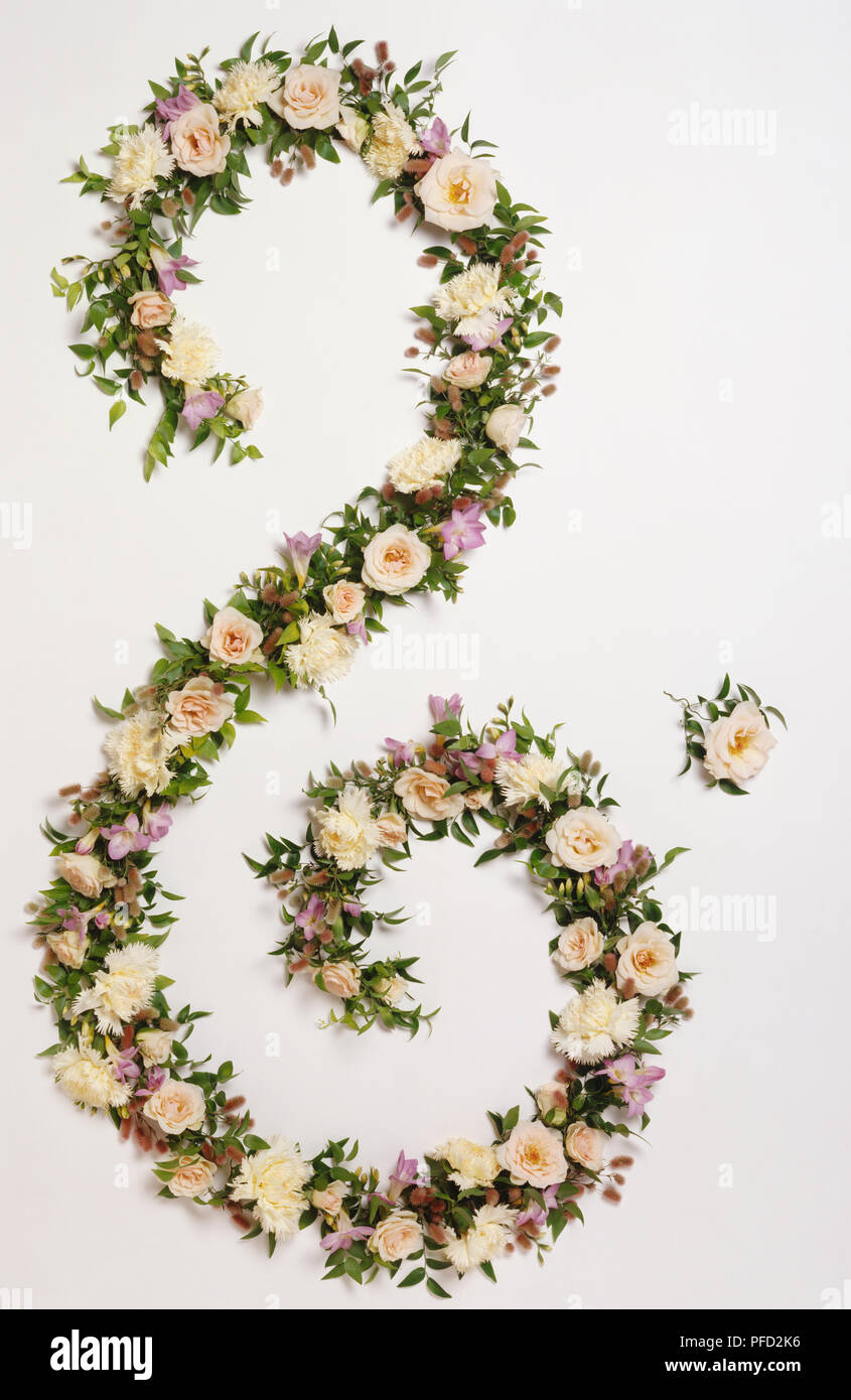 Above view of long strands of delicate garlands, fragrant flourish of mixed roses, carnations, Lagurus grass and Smilax laid out in swirling shape of an s. Stock Photo