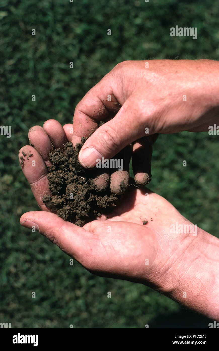 Man's hands feeling soil. Stock Photo