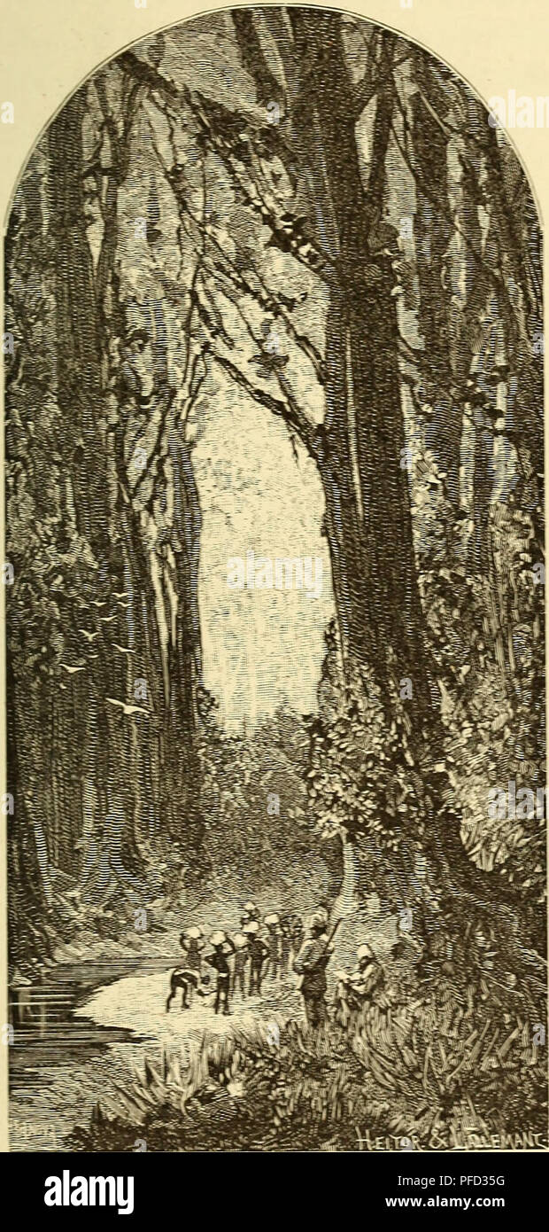 . De Angola á contra-costa; descripção de uma viagem atravez do continente africano ... Natural history. Pittoresco é o districto onde nos achávamos, disse- mos no capitulo anterior, e bem o mostra a vinheta copia de desenho tirado do natural, e sympatnico é o homem que o go- verna, acrescen- taremos nós em abono da verda- de e gratidão. XTenque ou Mutinguinhe. pois eram estes os seus nomes, foi um dos raros caractere- que ao acaso encon- trámos em Africa, e a quem desde logo votámos sin- eira synrp atina.. Please note that these images are extracted from scanned page images that may have been Stock Photo