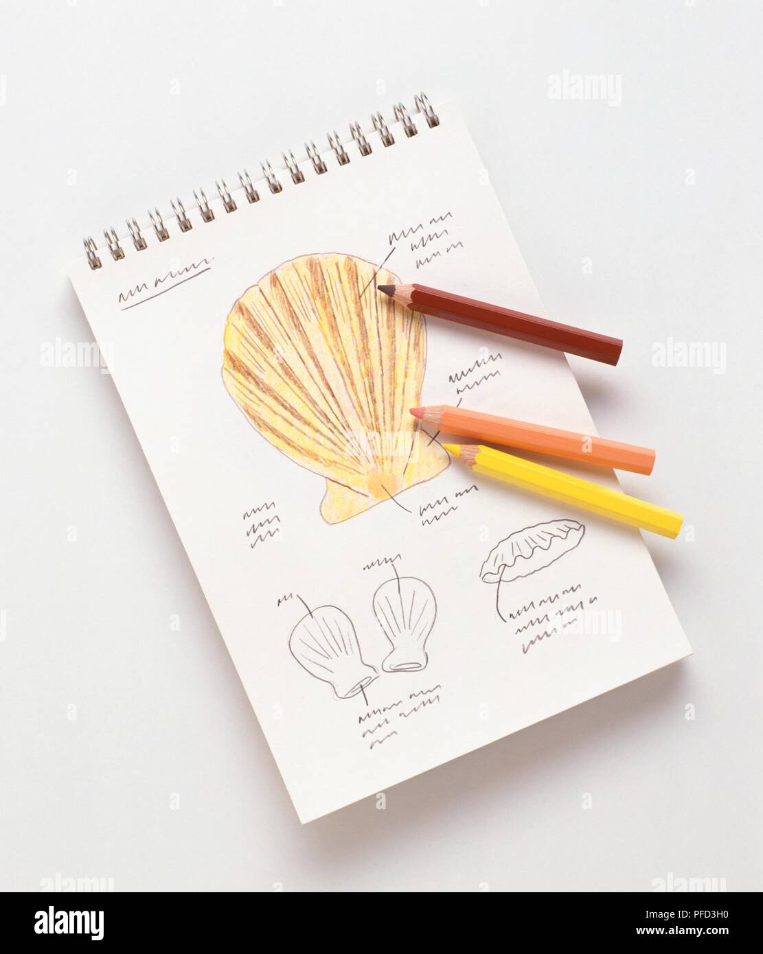 Colored Pencils, Sketch Pad, Drawing Stock Photo, Picture and