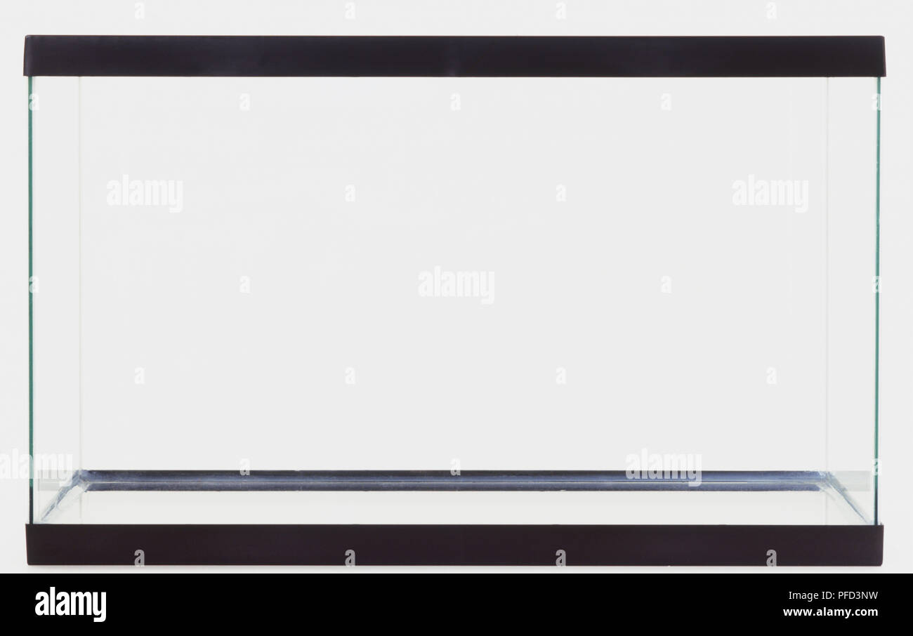 Rectangular, empty, glass fish tank Stock Photo Alamy