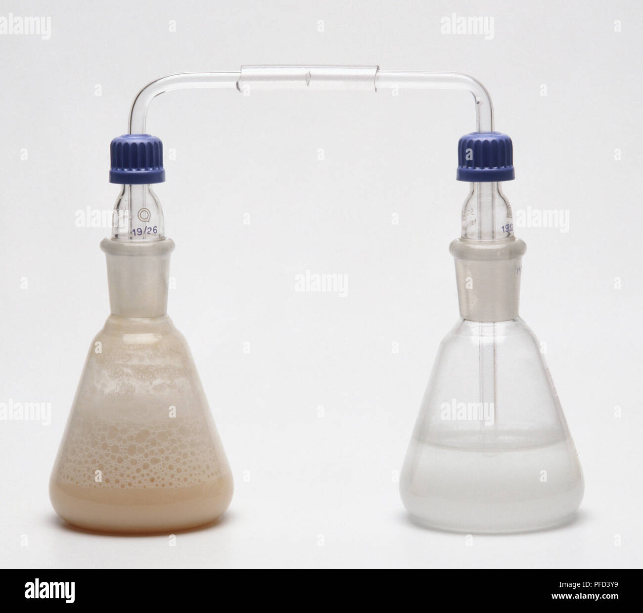 Limewater hires stock photography and images Alamy