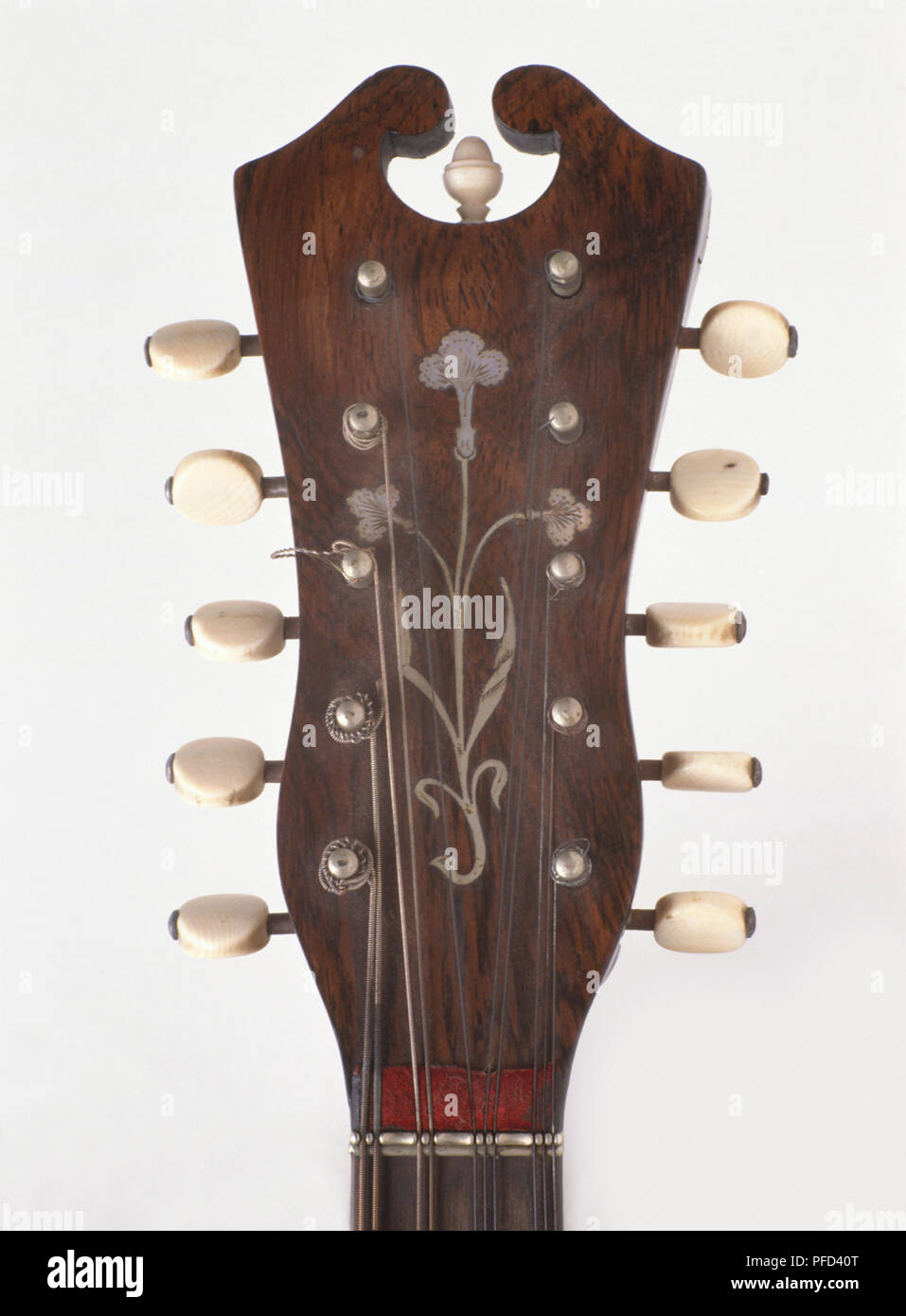 Headstock of mandolin, closeup Stock Photo Alamy