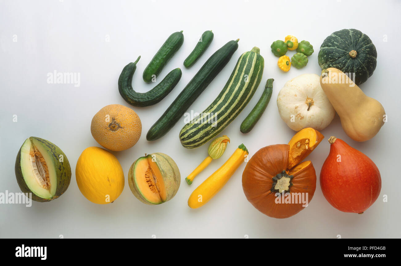 Selection of squashes, cucumbers and melons Stock Photo Alamy