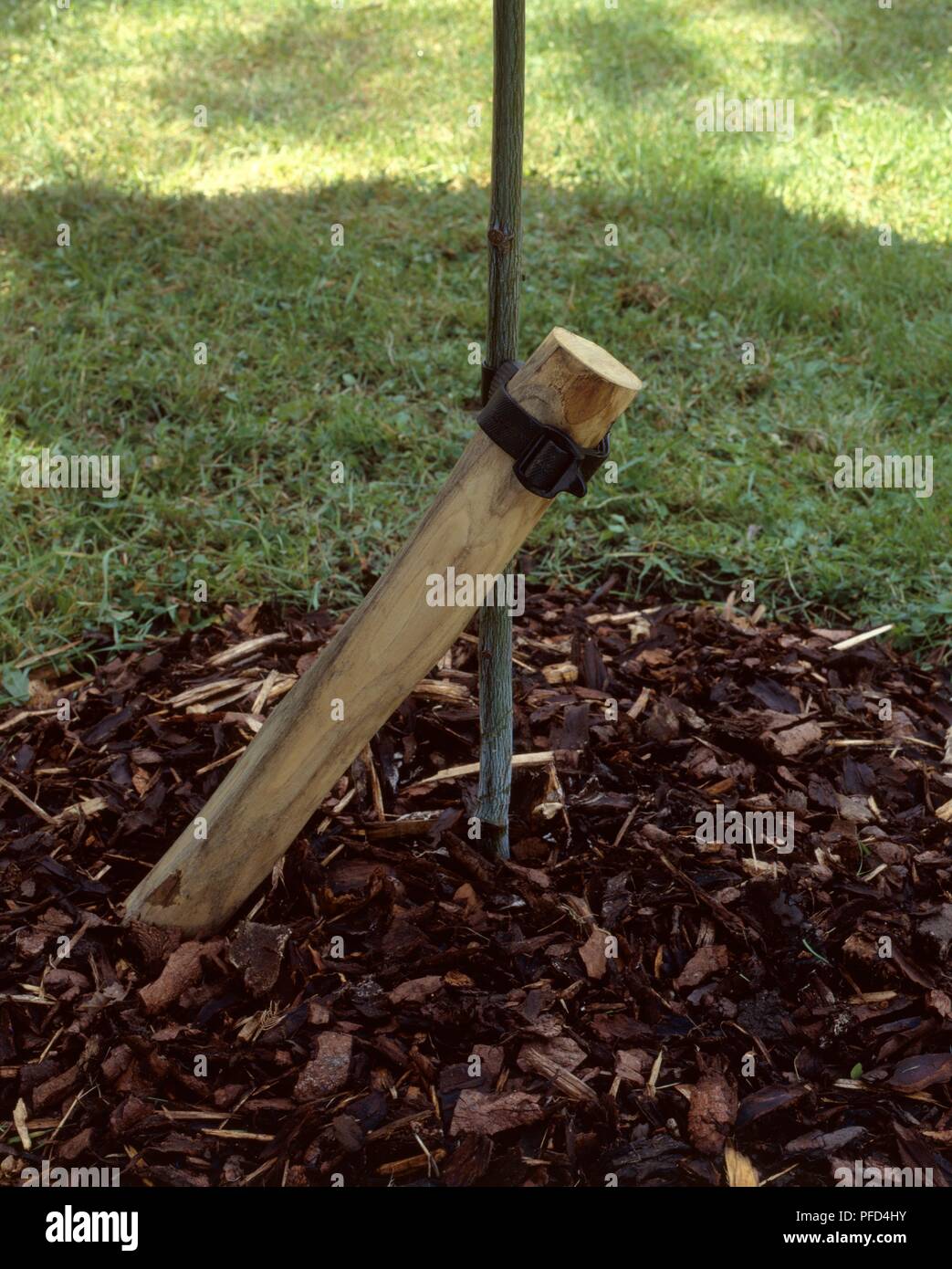 Attached to lamppost or lamp post hi-res stock photography and images ...