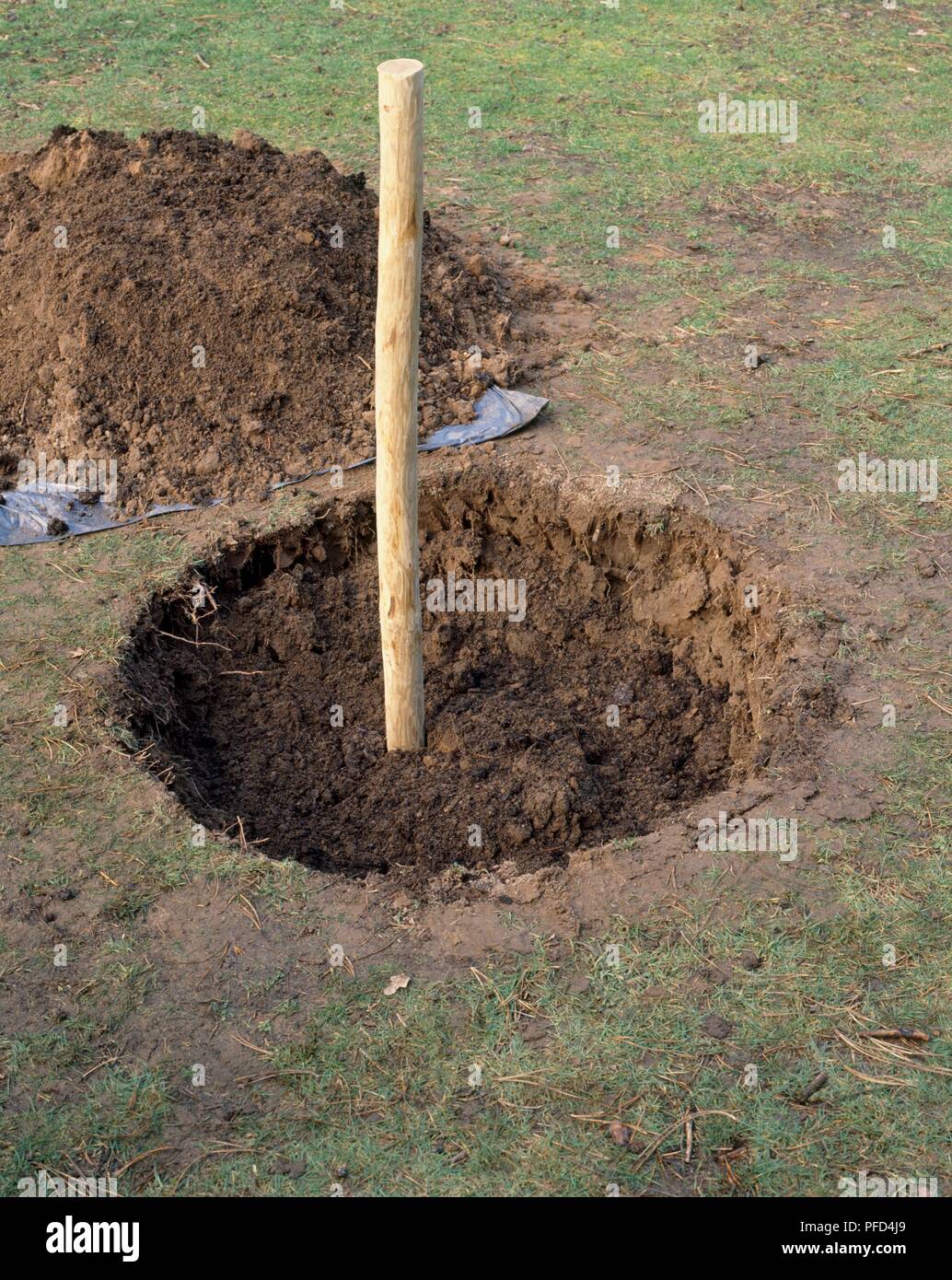 Wooden post in off centre position in hole dug in ground Stock Photo