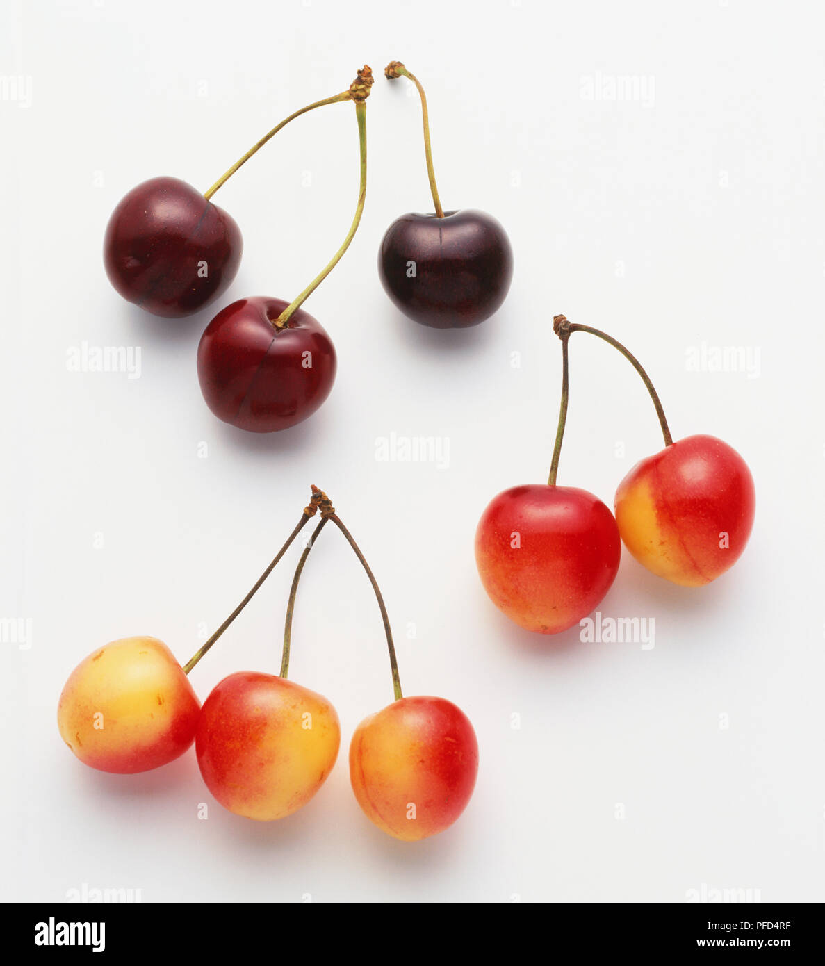 Montmorency cherry hires stock photography and images Alamy