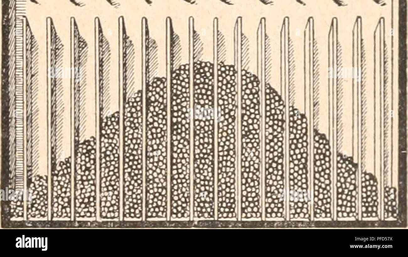 . Das werden der organismen zur widerlegung von Darwins zufallstheorie durch das gesetz in der entwicklung. Evolution; Life. i 11 Um die Wirkungen des Zufalls mit ihrer Gesetzmäßigkeit zu veranschaulichen, hat der englische P^orscher Galton einen Apparat, der auch als Kinderspiel bekannt ist, konstruiert. Dieser besteht, wie Fig. 49 zeigt, aus einem flachem, etwas schräg gestellten Kasten, der an seinem unteren Rand durch verti- kale Leisten in 17 gleichgroße Fächer abgeteilt ist. In einer darüber gelegenen Zone sind viele Nadeln in Reihen mit regelmäßigen Abständen so angebracht, daß die Nade Stock Photo