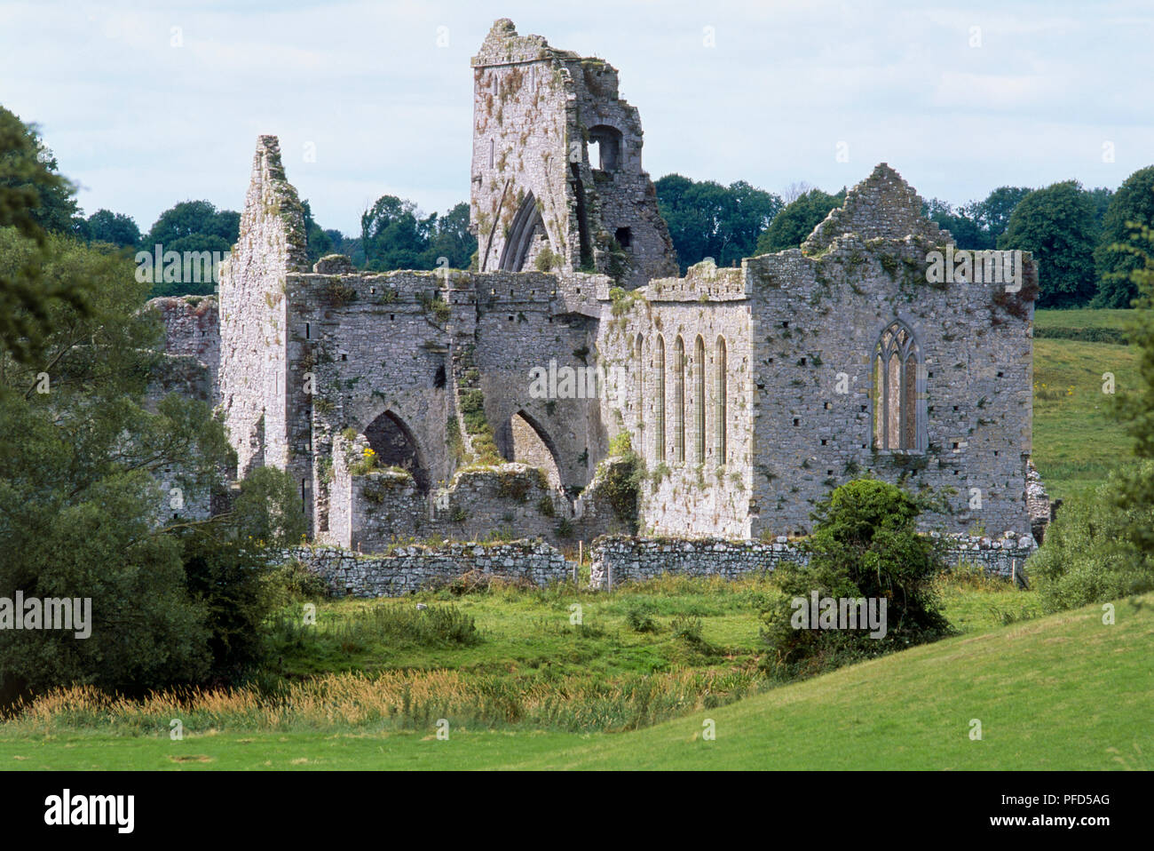 Ireland, County Tipperary, Athassel Priory, old ruins of 13th century church Stock Photo