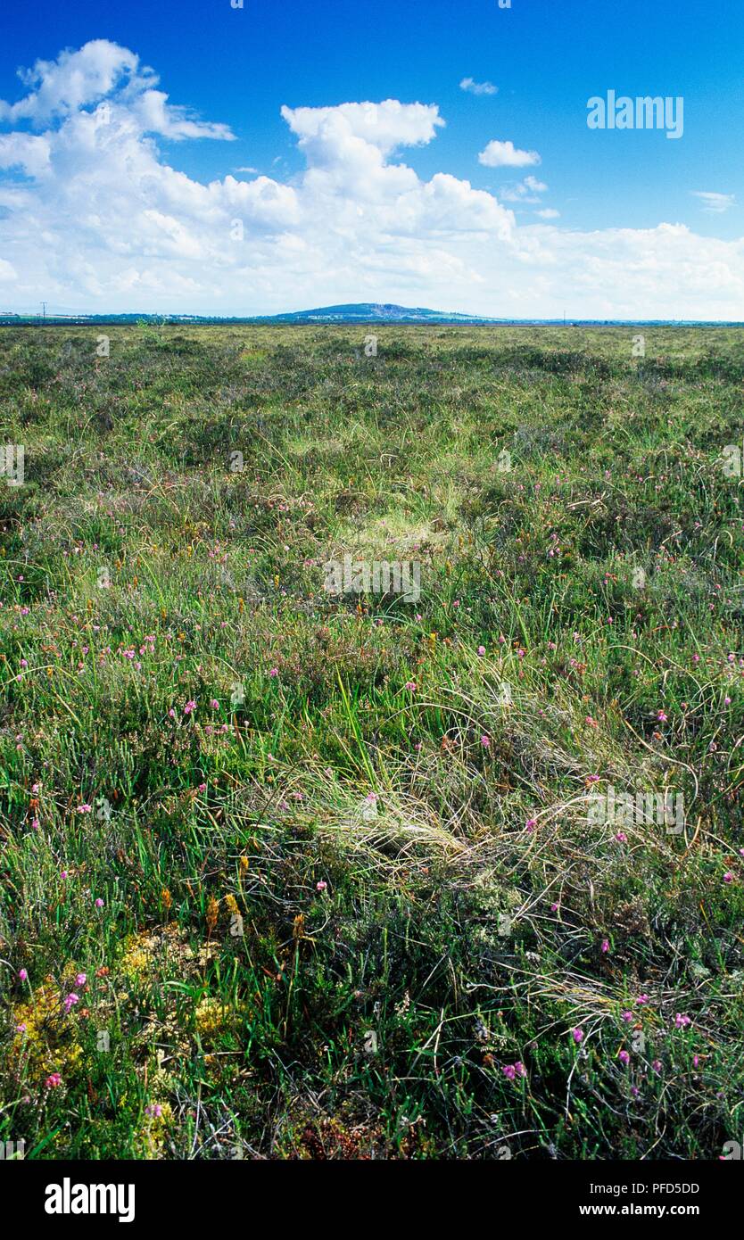 Bog of allen ireland hires stock photography and images Alamy