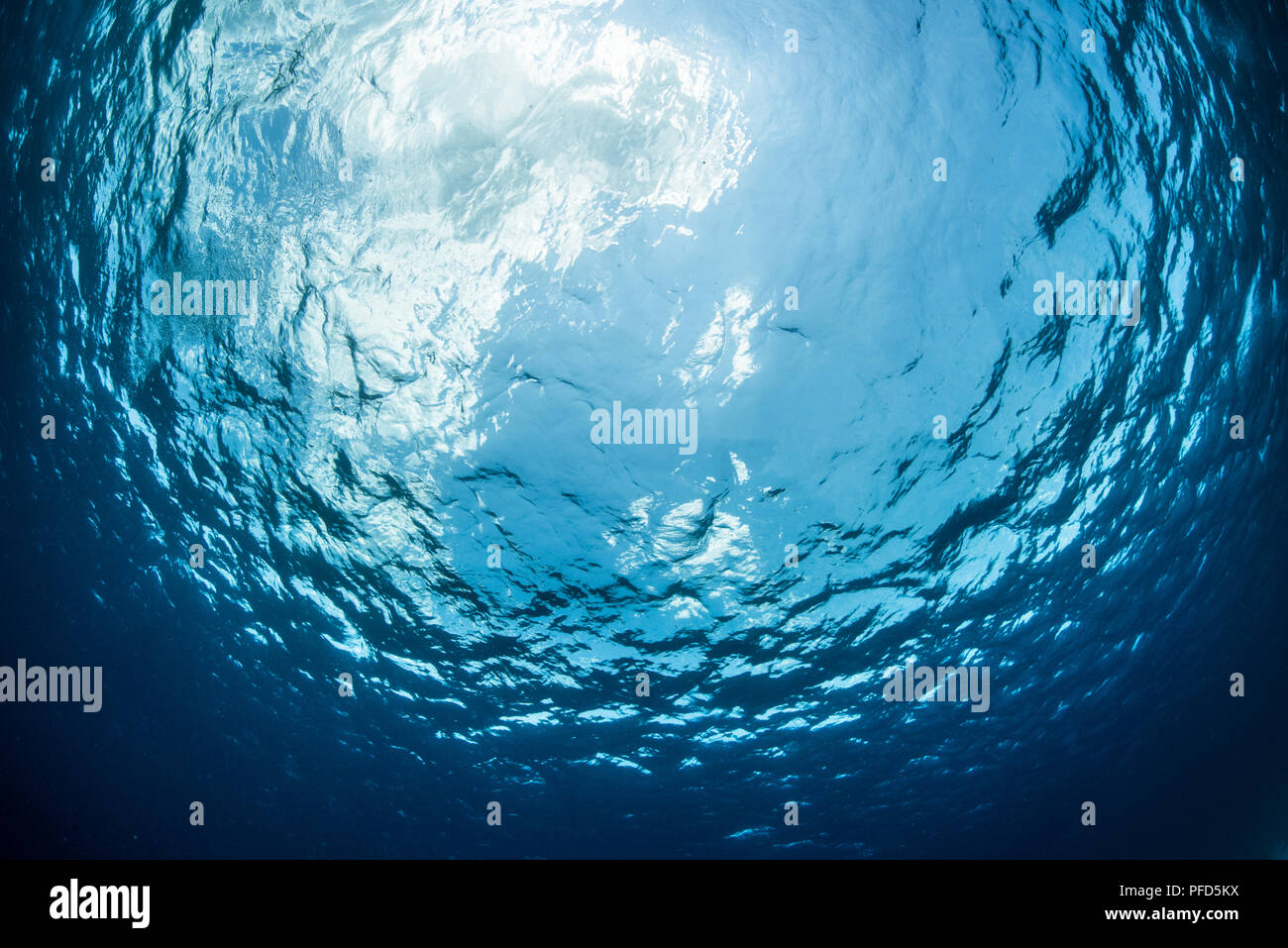 Underwater photo looking up to the surface with ripples, and sky above. Komodo National Park, Indonesia Stock Photo