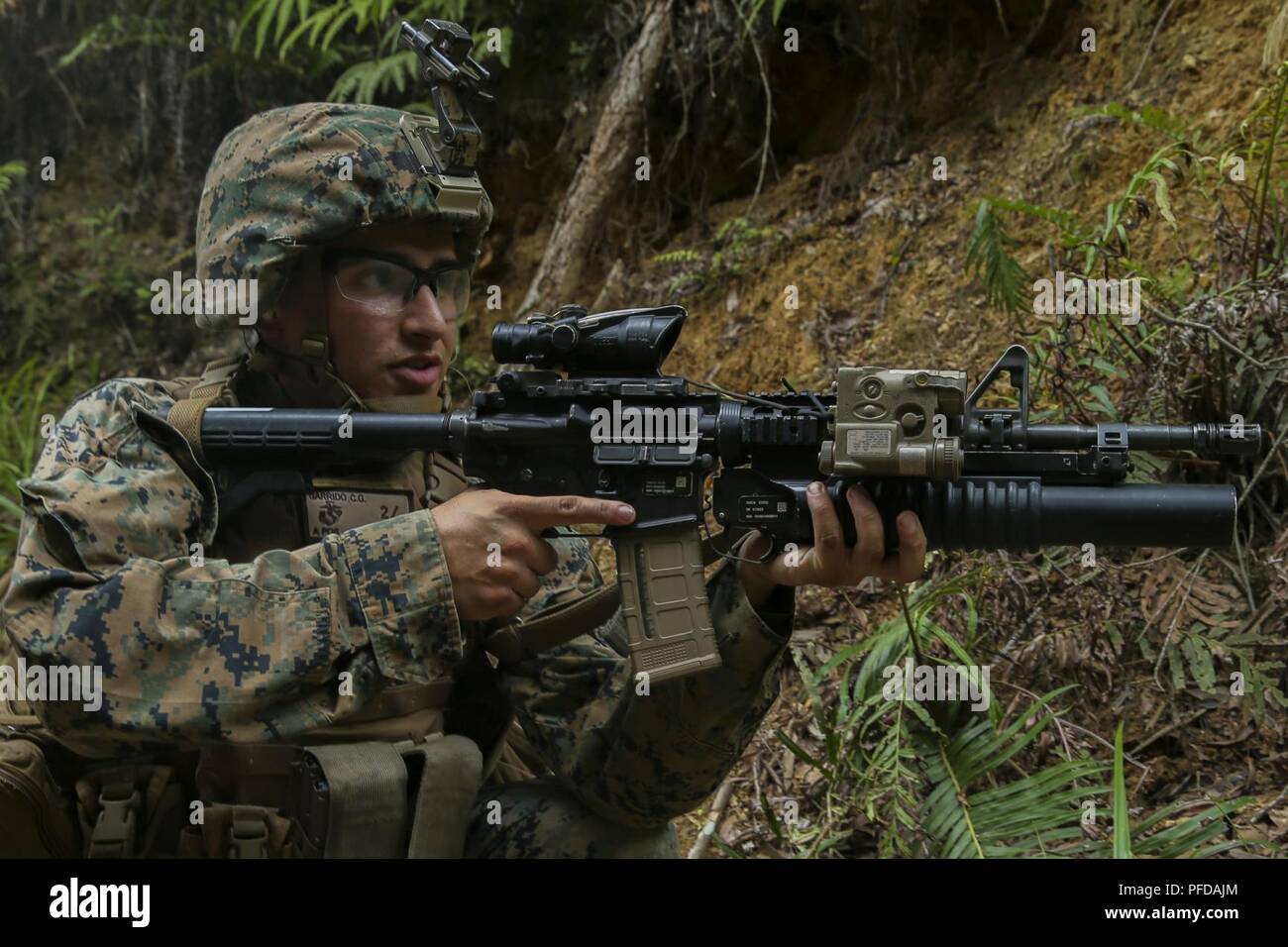 A Marine with Fox Company, Battalion Landing Team, 2nd Battalion, 5th ...