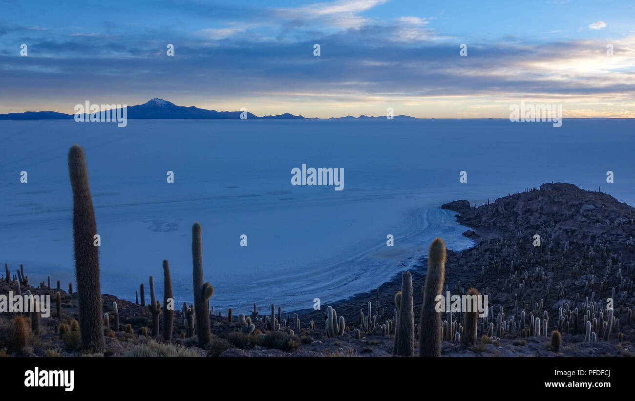 Sunrise views of the Salar de Uyuni and Tunupa Volcano from Isla ...