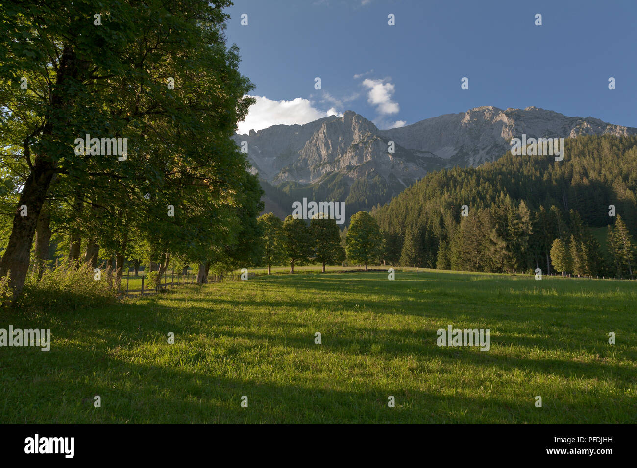 Mountains and fields at Ramsau, Austria in summer Stock Photo