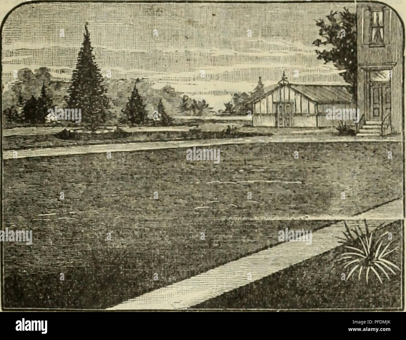 This commercial catalog from Fort Worth offers a range of trees