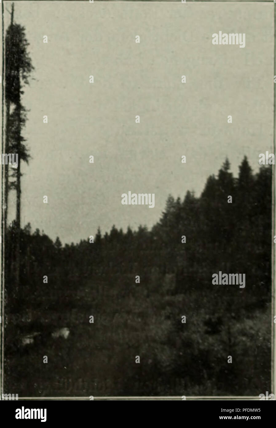 Ficht High Resolution Stock Photography and Images - Alamy