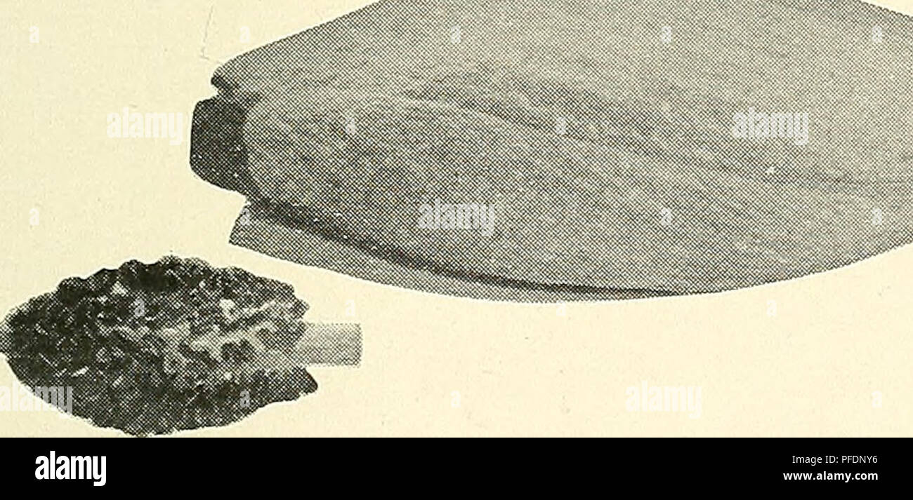 Department Bulletin Agriculture Agriculture S O Ii Z Ll Lu A S G 2 To A A C Quot Ft A A A O O 2so I End Fo Lu Gt