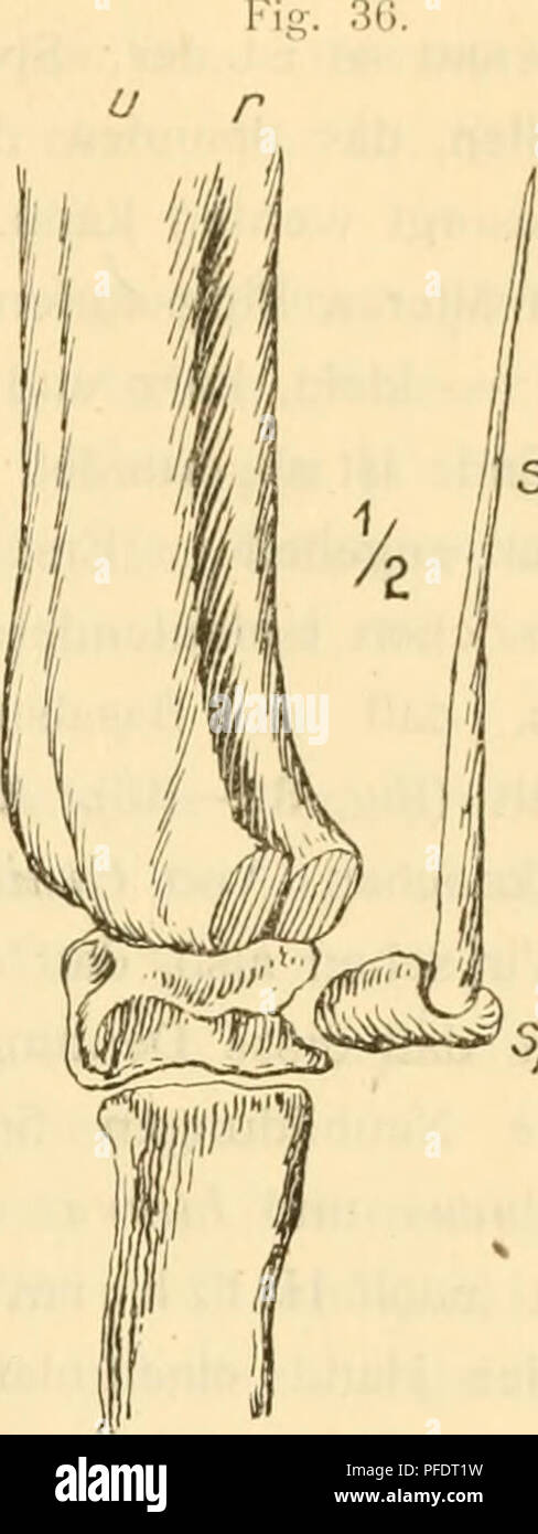 Druckt High Resolution Stock Photography And Images Alamy