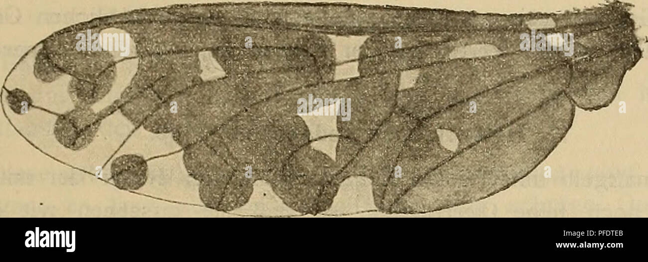Page 2 Hauptsachlich High Resolution Stock Photography And Images Alamy