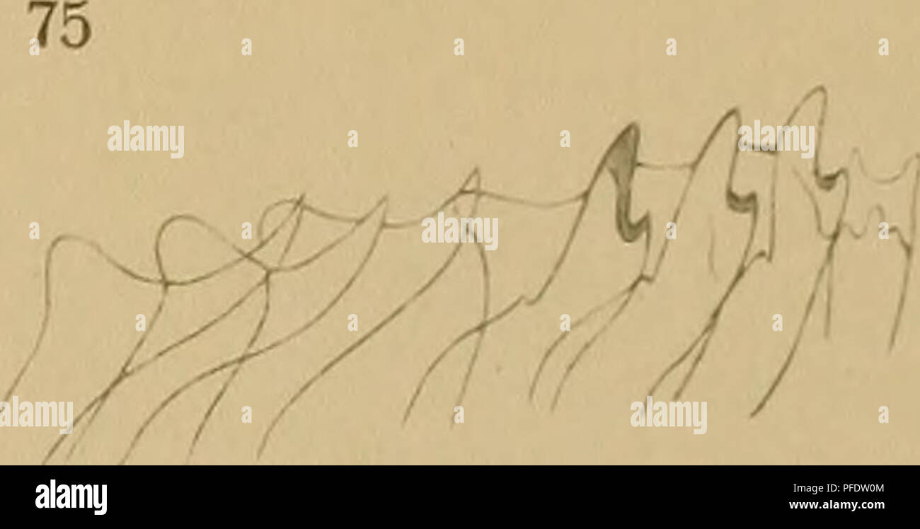 M 79 84 2 High Resolution Stock Photography And Images Alamy