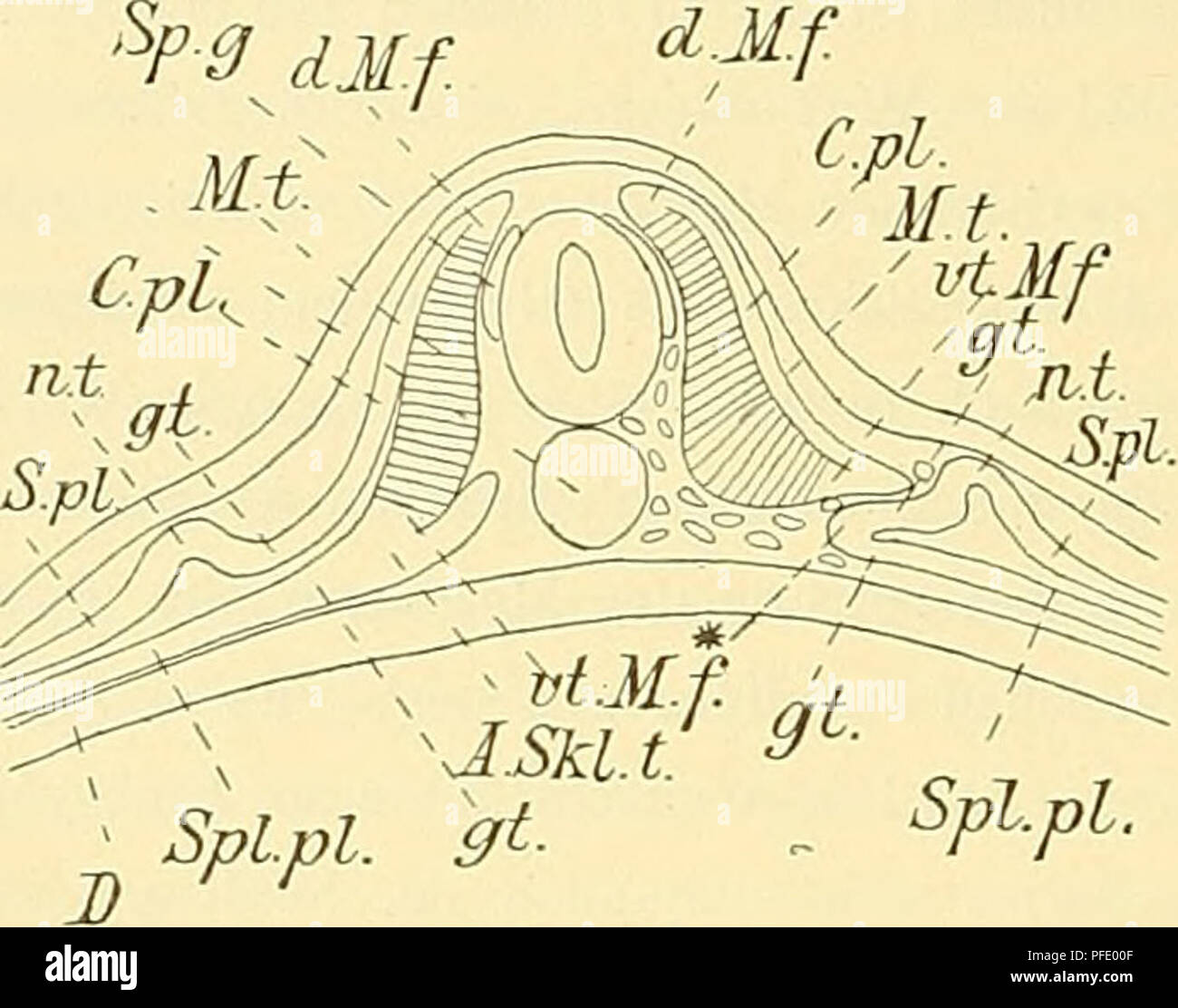 Der Anfang High Resolution Stock Photography and Images - Alamy