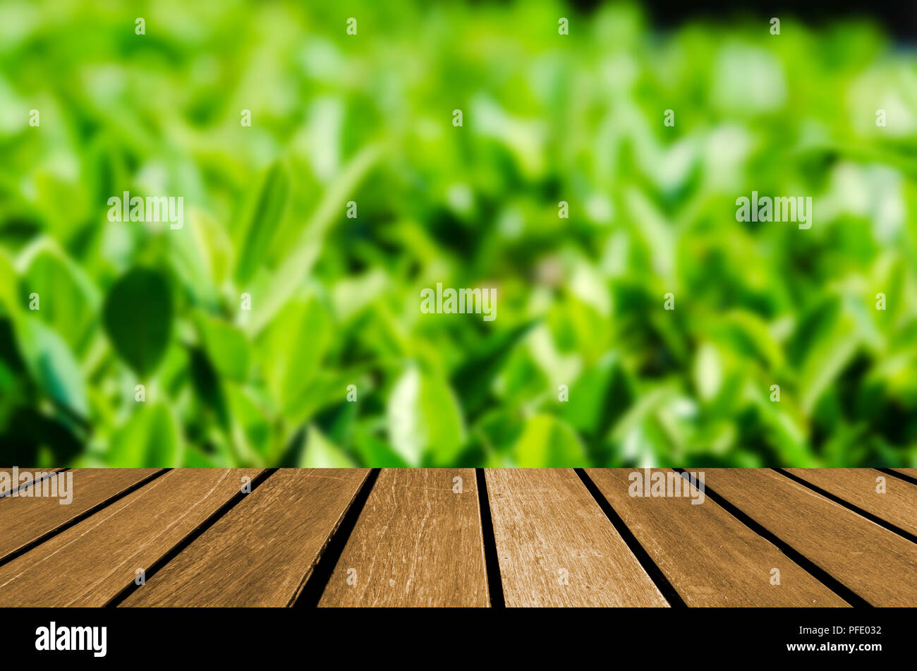 Wood Table Top And Abstract Blurred Nature Green Leaf Background