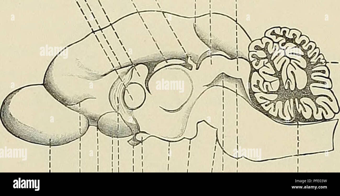 page 3 fissura high resolution stock photography and images alamy