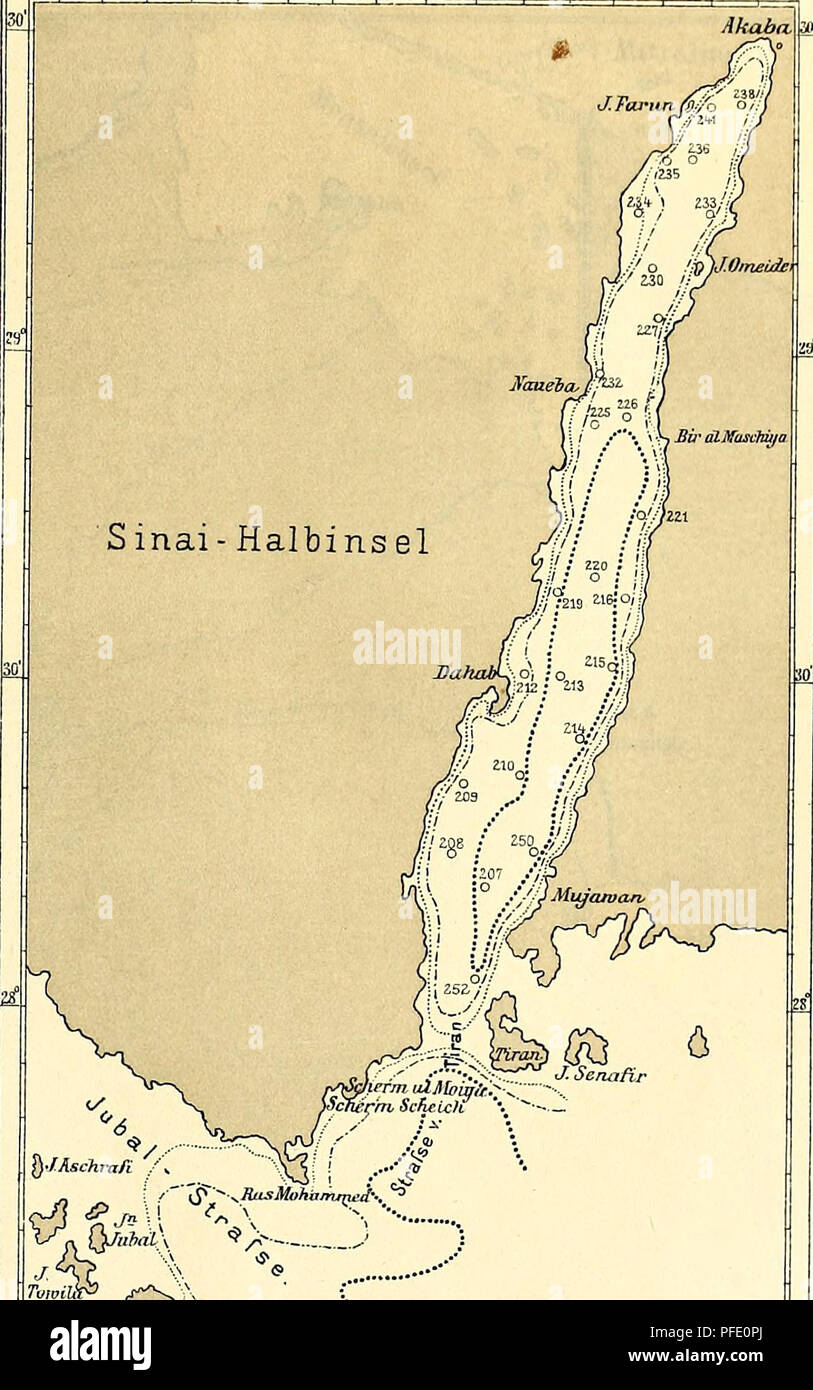 . Denkschriften der Kaiserlichen Akademie der Wissenschaften, Mathematisch-Naturwissenschaftliche Classe. K. Natterer: Chemische Untersuchungen im Rothen Meere (NÃ¶rdliche HÃ¤lfte). 1895 -189G Karte W. 30' SS-Ã¶vGr Sinai- Halbinsel. &quot;^-&quot;^-yA, J Schedium 'â¢â¢. 5r,Â° Her GolfTOnÃkabaimtAr.galje derTiefenverhaltnisseunÃ¤ mit deraVerzeichniss der Sta, tiraien.an welchen Wasser-oder Grimdproljen zur cliemiscTnen Untei-suchung genom men. wurden. Tiefenhnien â ..ZOOm, 500 77:,..Â»..^... 1000 m. iilhjlnst vTlLBannwarth^'ien. Denkschriften d. kais. Akad. d. Wiss. math.-naturw. Classe, Bd.LXV Stock Photo